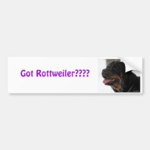 ¿Rottweiler conseguido???? Etiqueta De Parachoque