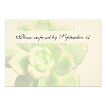 Rsvp suculento verde translúcido del vintage invitaciones personalizada