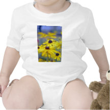 Rudbeckia Hirta I - ropa Trajes De Bebé
