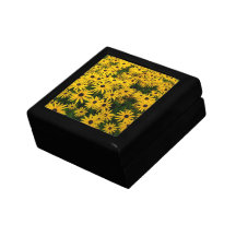 Rudbeckia Hirta (Susans Negro-observado) Caja De Regalo