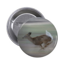 Ruedas de hilado pin