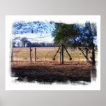 Ruedas viejas posters