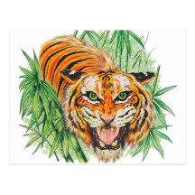Rugido del tigre postales