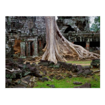 Ruinas del templo de TA Prohm en Camboya Postales