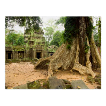 Ruinas del templo de TA Prohm en Camboya Postales