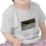 Ruinas nativas, Arizona Camisetas