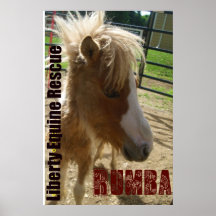Rumba de Rockin Poster