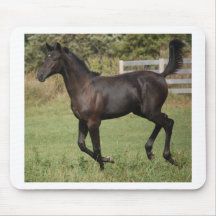 Running-Horse-2 Tapete De Raton