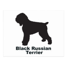 Ruso negro Terrier Postal