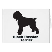 Ruso negro Terrier Tarjetas