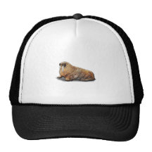 ¡Russ GRANDE Momma! Gorros