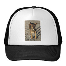 Ruthie de la esperanza pasada gorras