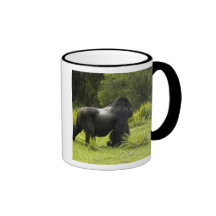 Rwanda, parque nacional de los volcanes. Montaña 2 Tazas