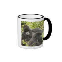 Rwanda, parque nacional de los volcanes. Montaña Taza De Café