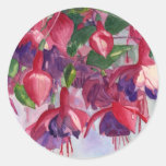Saber fucsia etiqueta