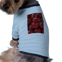 SABIDURÍA CAMISAS DE MASCOTA