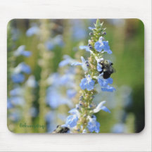 Sabio azul y abeja 2 de cielo alfombrilla de ratones