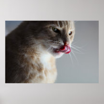 Sabroso Posters