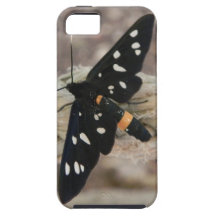 Sacerdote de las mariposas iPhone 5 cobertura