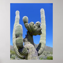 Saguaro con cresta poster