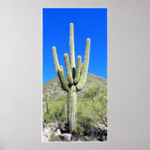 Saguaro Posters