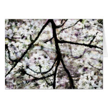 Sakura_card Tarjeton