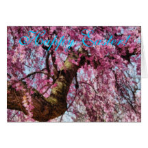 Sakura - finalmente es primavera tarjetón