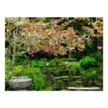 Sakura Foto