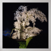 Sakura Impresiones