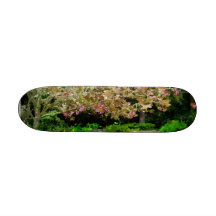 Sakura Patín Personalizado