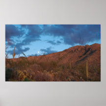Salida de la luna de la puesta del sol del Saguaro Impresiones