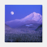 Salida de la luna durante el invierno de la capill imán para frigorifico
