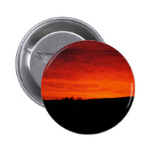 Salida del sol de Maine Pins