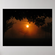 Salida del sol de niebla posters