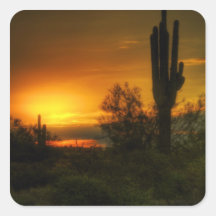 Salida del sol del cactus colcomanias cuadradas