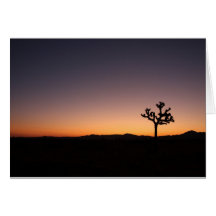 Salida del sol del desierto tarjeta