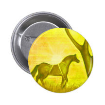 Salida del sol pin
