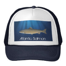 Salmón atlántico - gorra de la pesca