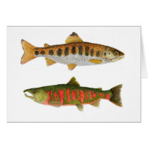 Salmones de Amago y de Masu de Japón Tarjetón