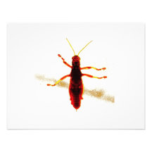 Saltamontes radiactivo comunicados personalizados