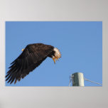Salto de la fe posters