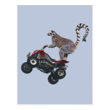 Salto de la postal del Lemur