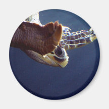 Salto de la tortuga de mar iman para frigorífico