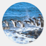 Salto de los pingüinos pegatina