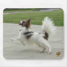 Salto de Papillon Alfombrilla De Ratón