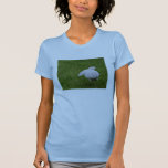 salto del conejito camisetas