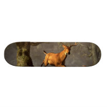 Salto del macho tabla de skate