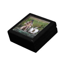 Salto indio caja de joyas