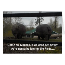 Saludo divertido del cumpleaños del Hippopotamus Tarjeta
