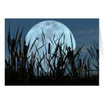 Saludo feliz del verano con la Luna Llena Felicitación